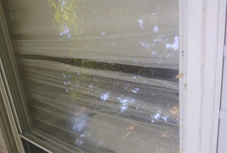 Affectée par des oeufs lancés à répétition sur sa maison