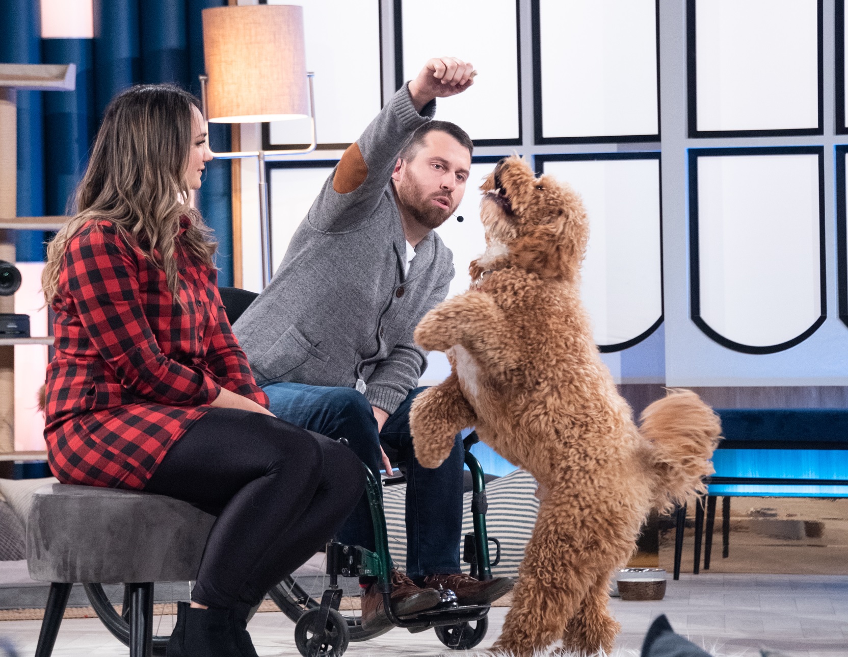 Un chien de Candiac en vedette à l’émission Animania