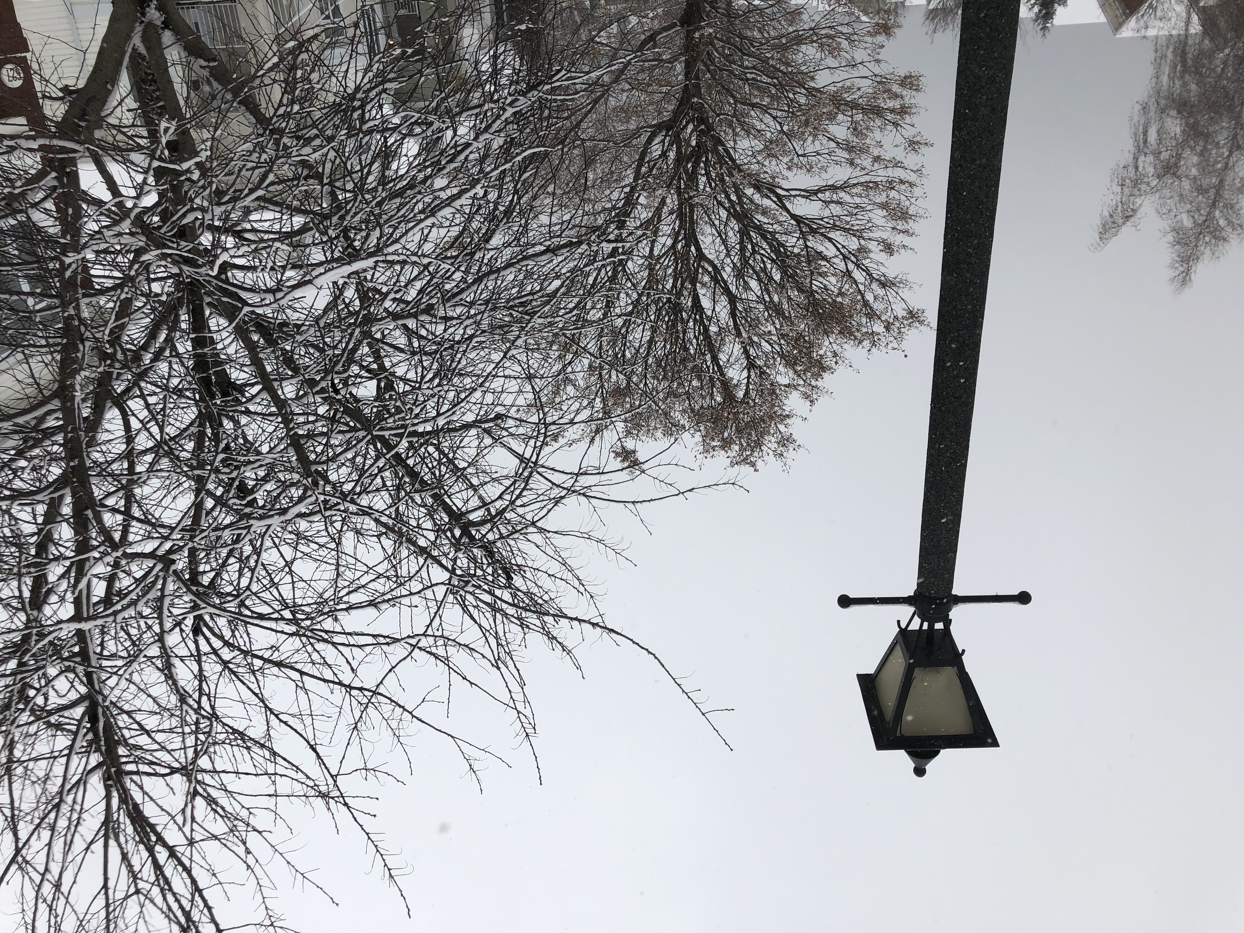 Problème d’éclairage d’une rue à Sainte-Catherine