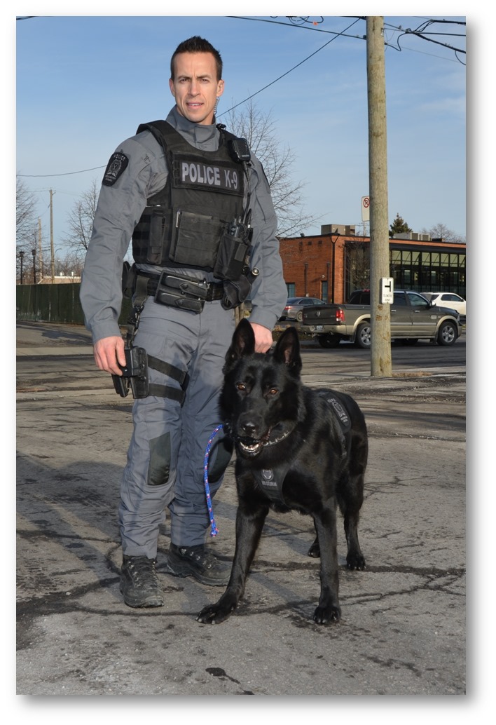 Ghost: la nouvelle recrue canine de la police de Longueuil