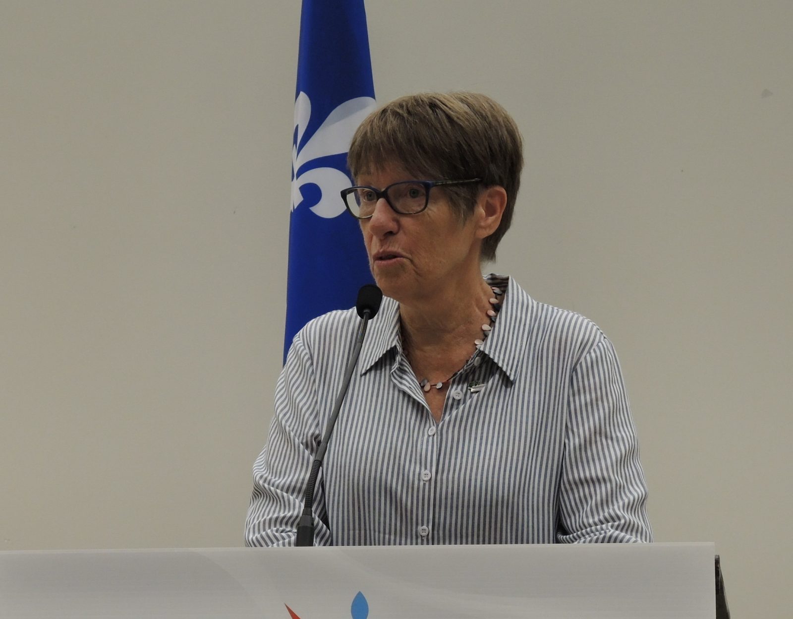 Projet de loi 40 : la présidente de la Commission scolaire fait ses adieux