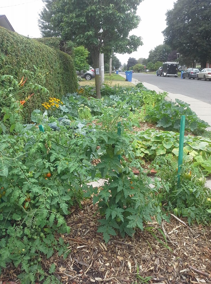 Des bacs jardiniers pourraient voir le jour à La Prairie