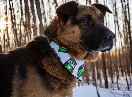 Willy, l&rsquo;animal de la semaine