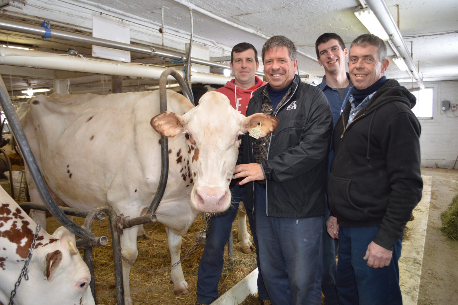 Une ferme de Saint-Valentin reçoit le titre de Maître-éleveur remis par Holstein Canada