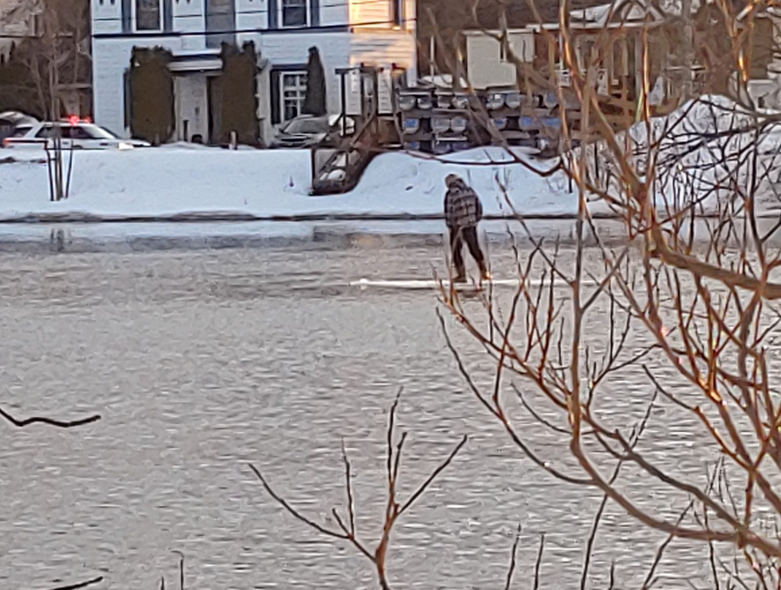Homme à la dérive sur un morceau de glace secouru