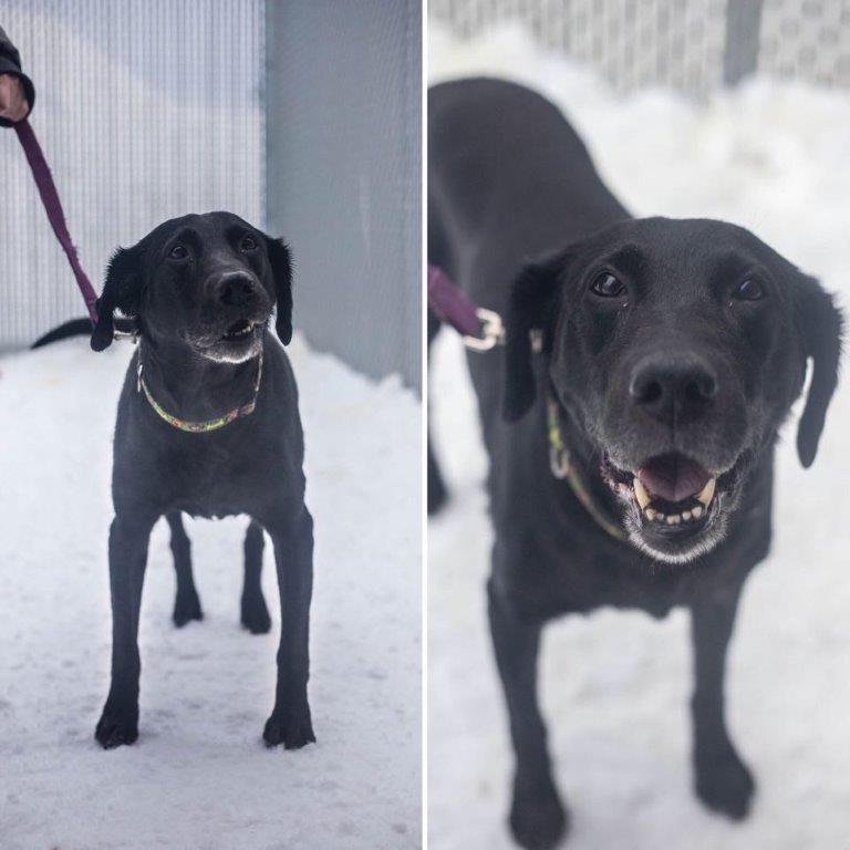 Barkley, la vedette de la semaine