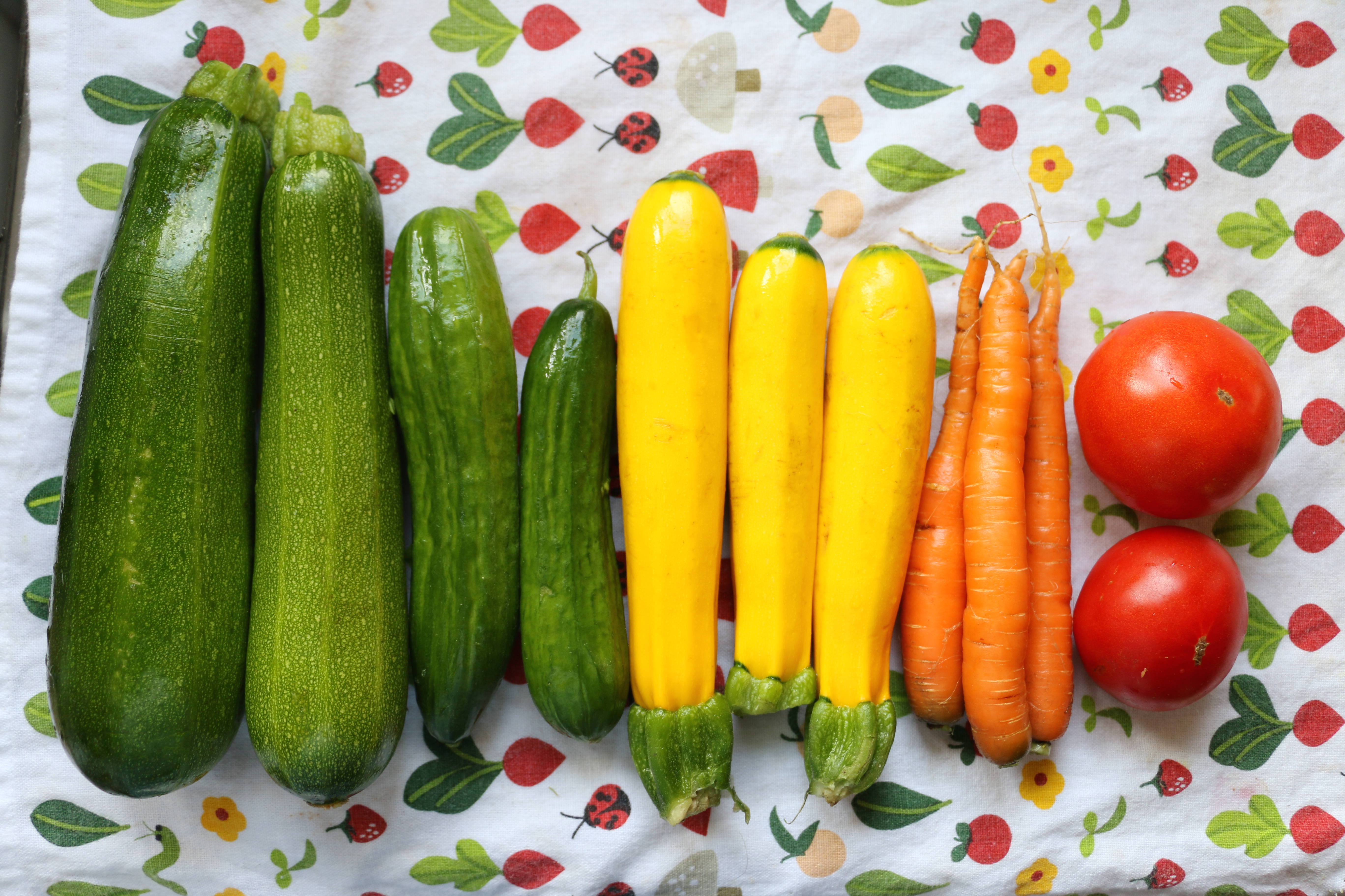 24 semaines de légumes biologiques à La Prairie