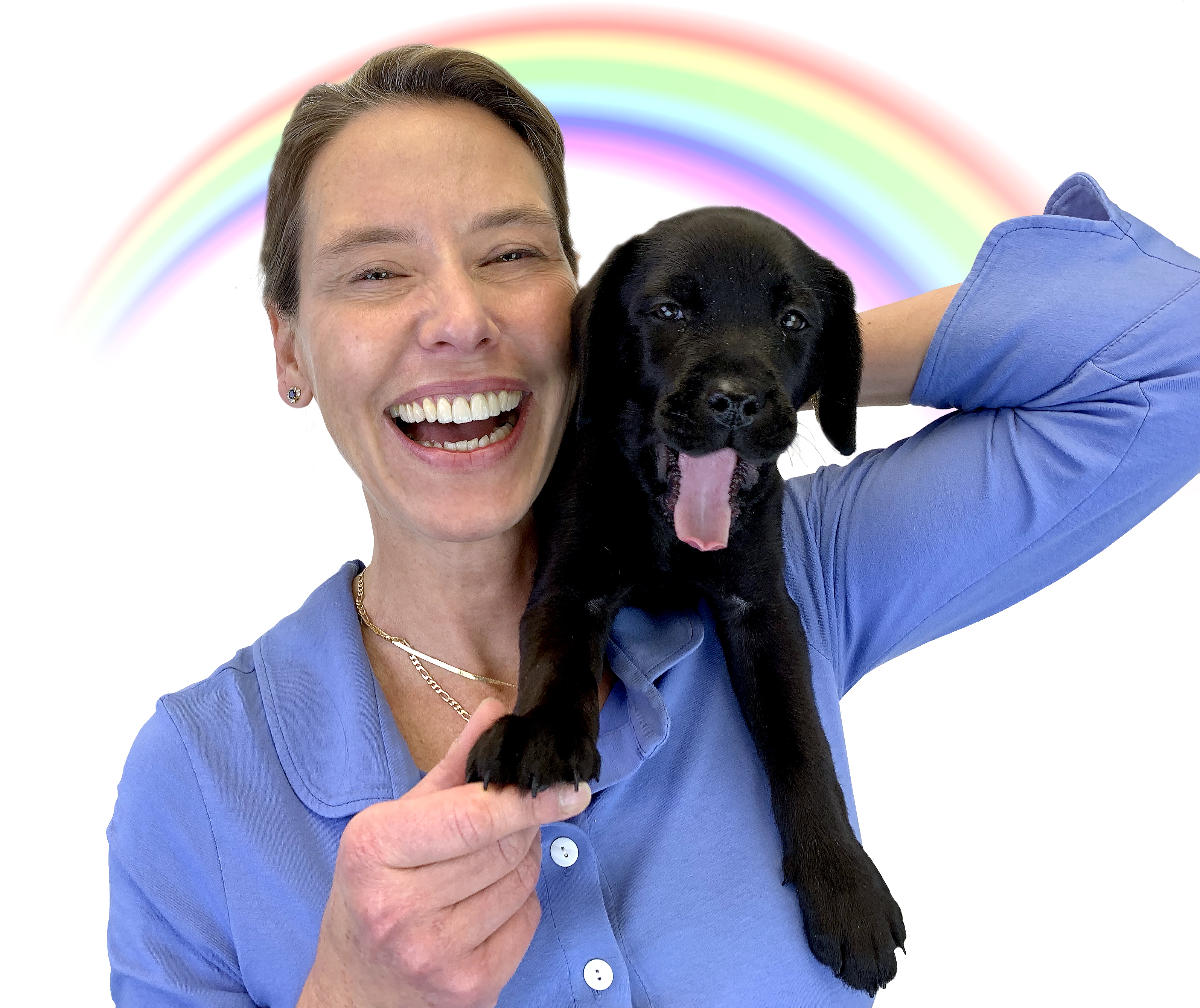 Cinq questions à une vétérinaire sur les animaux et la COVID-19