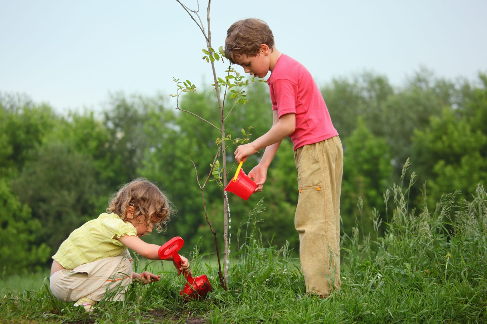 Delson distribue gratuitement des arbres à ses citoyens
