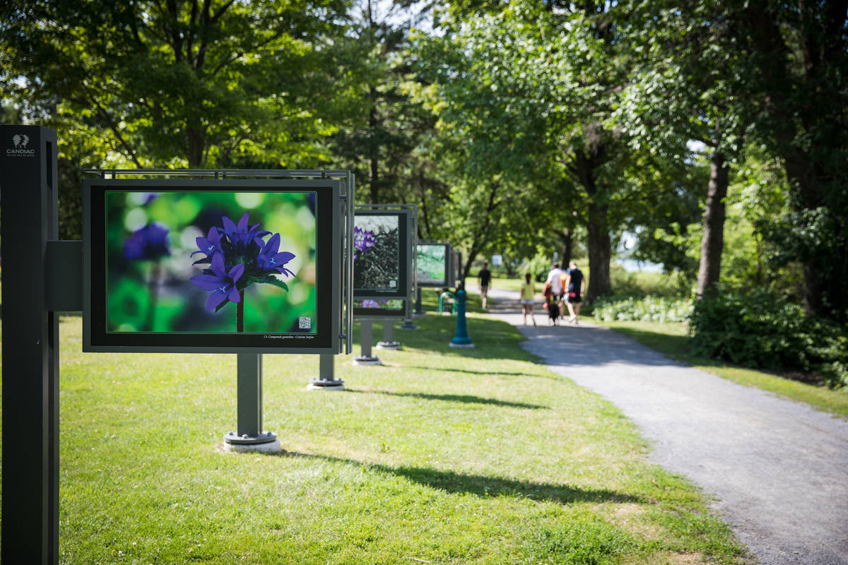 Candiac cherche des artistes pour son Sentier des arts