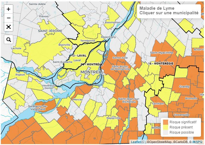 Maladie de Lyme : une carte interactive pour connaître les points chauds