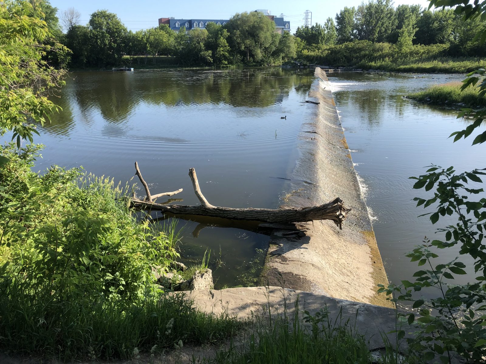 Le piège mortel méconnu d’un barrage à Châteauguay inquiète