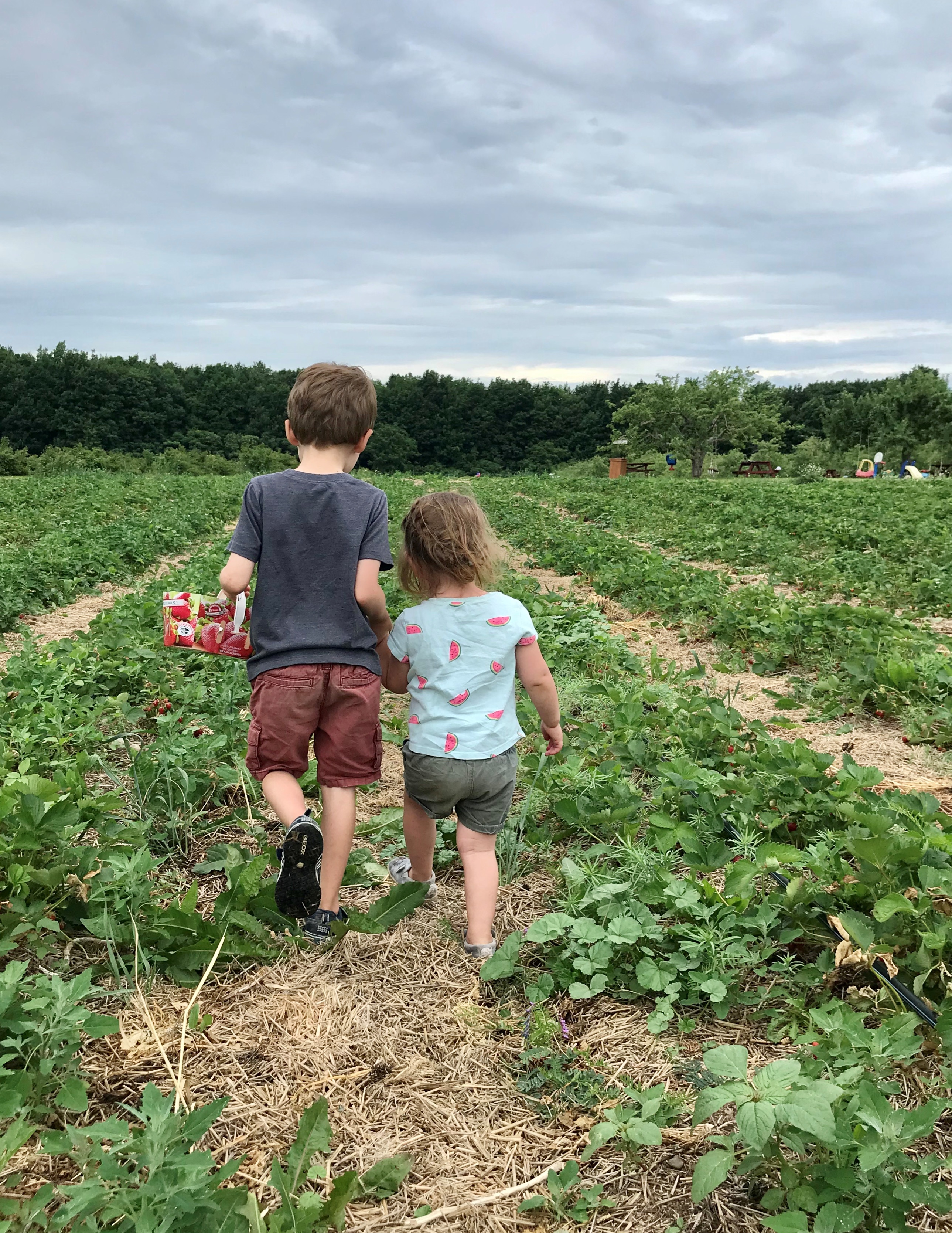 Renouer avec les producteurs régionaux