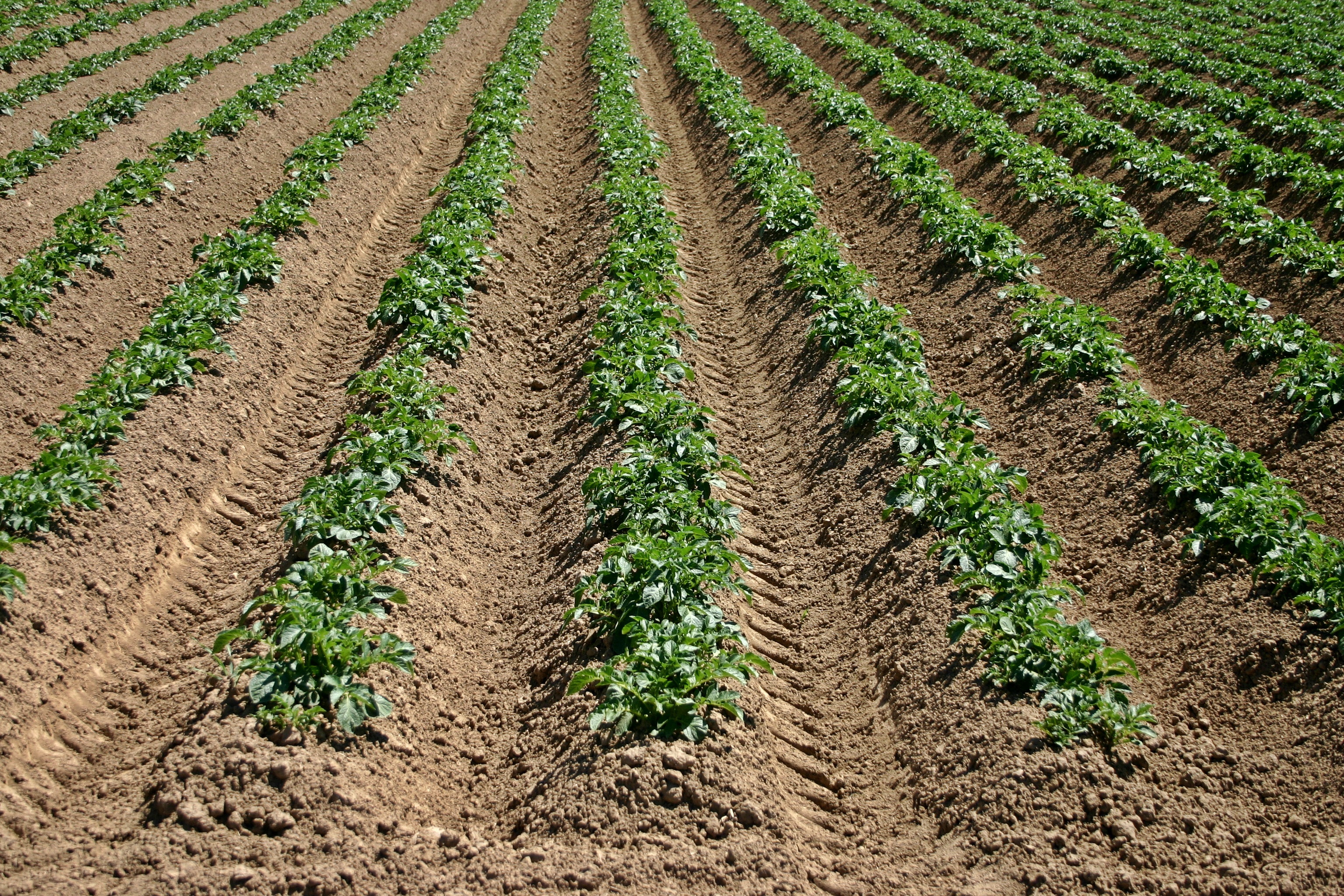 Campagne pour une cohabitation harmonieuse en zone agricole