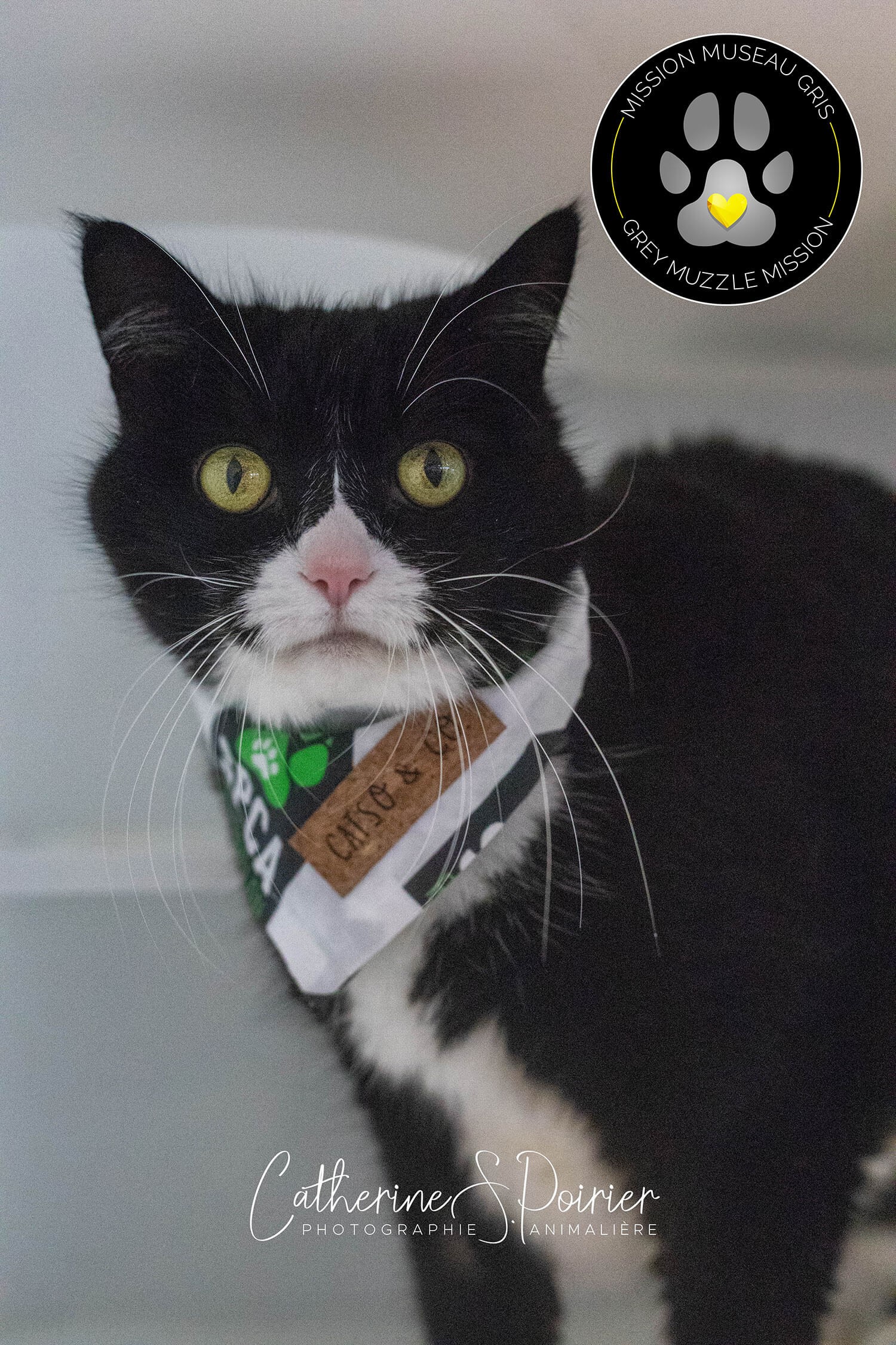 Lulu, la vedette de la semaine