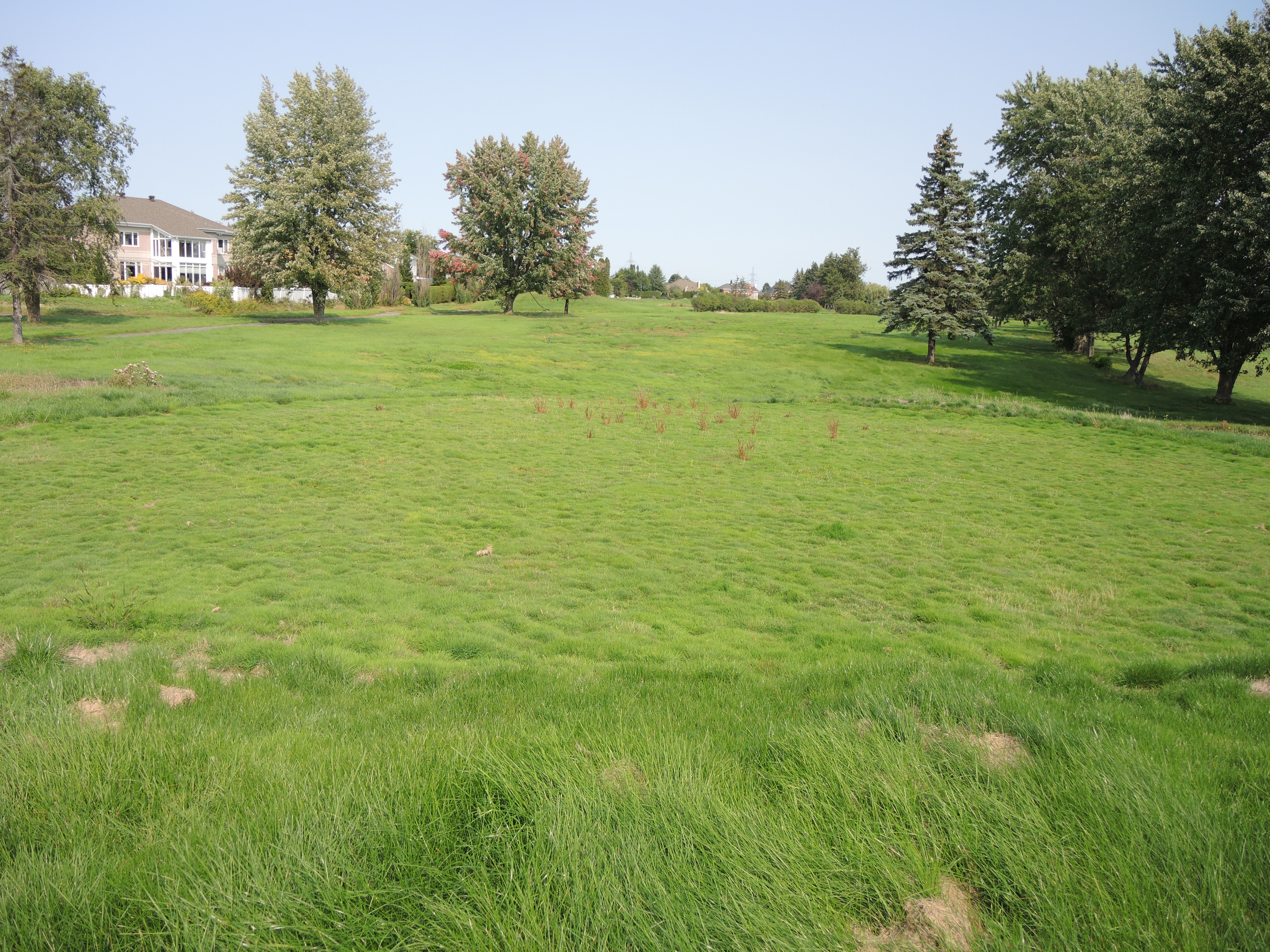 Golf de Candiac : les comités de travail de Groupe Maison Candiac sont formés