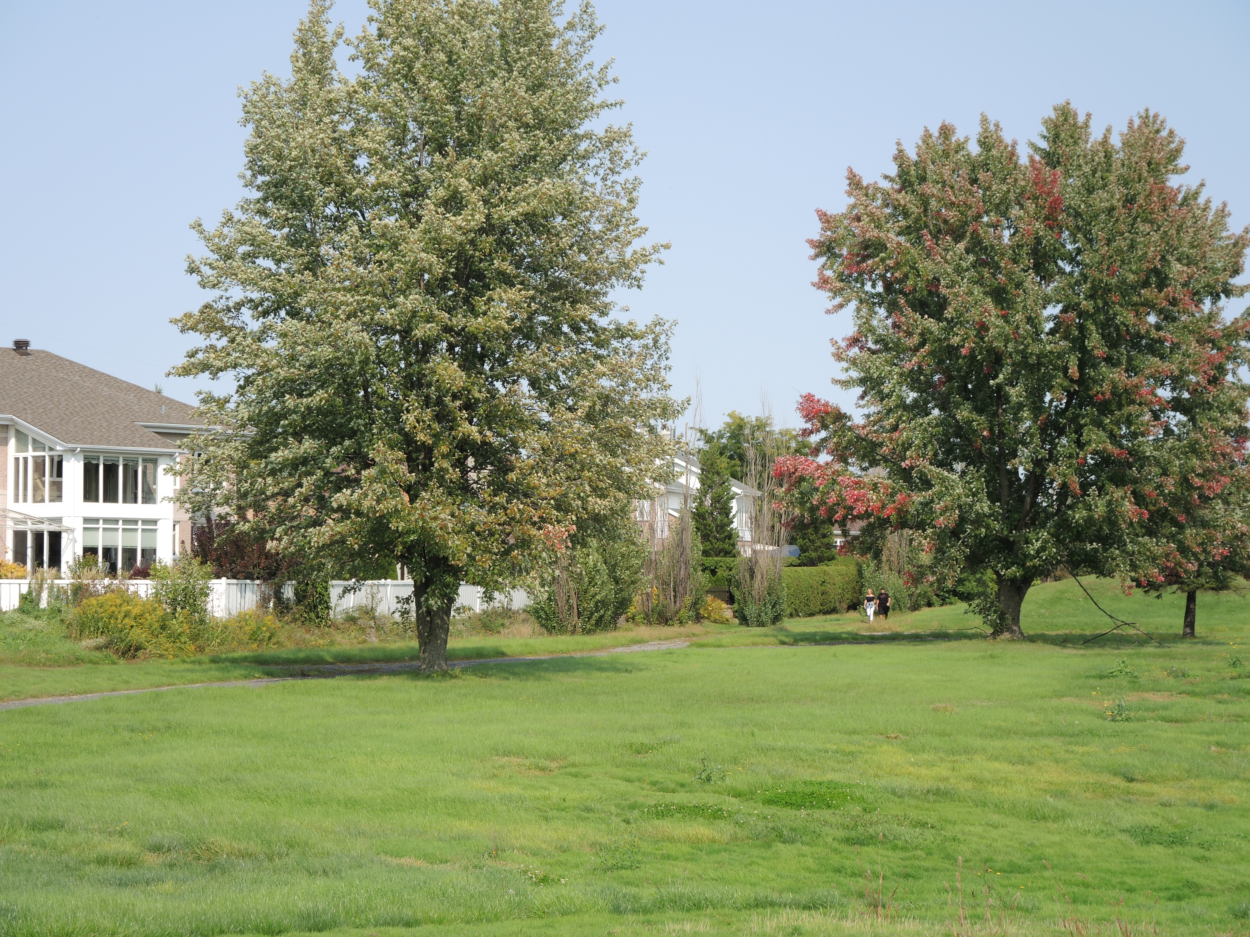 Le Regroupement des résidents de Candiac veut conserver l’intégralité de l’ancien golf