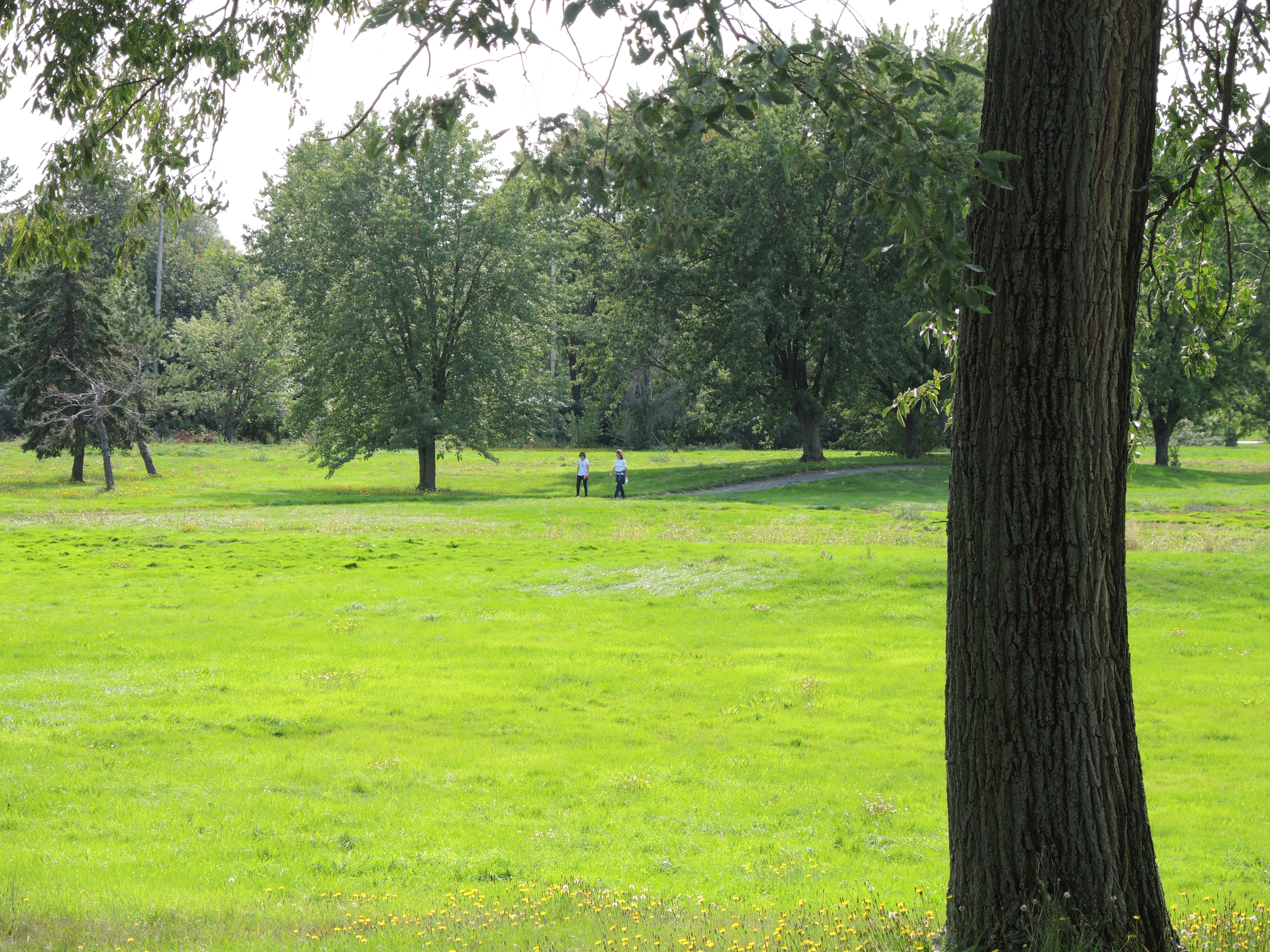 Ancien golf de Candiac : c’est le temps de s’inscrire à la séance d’information de la Ville