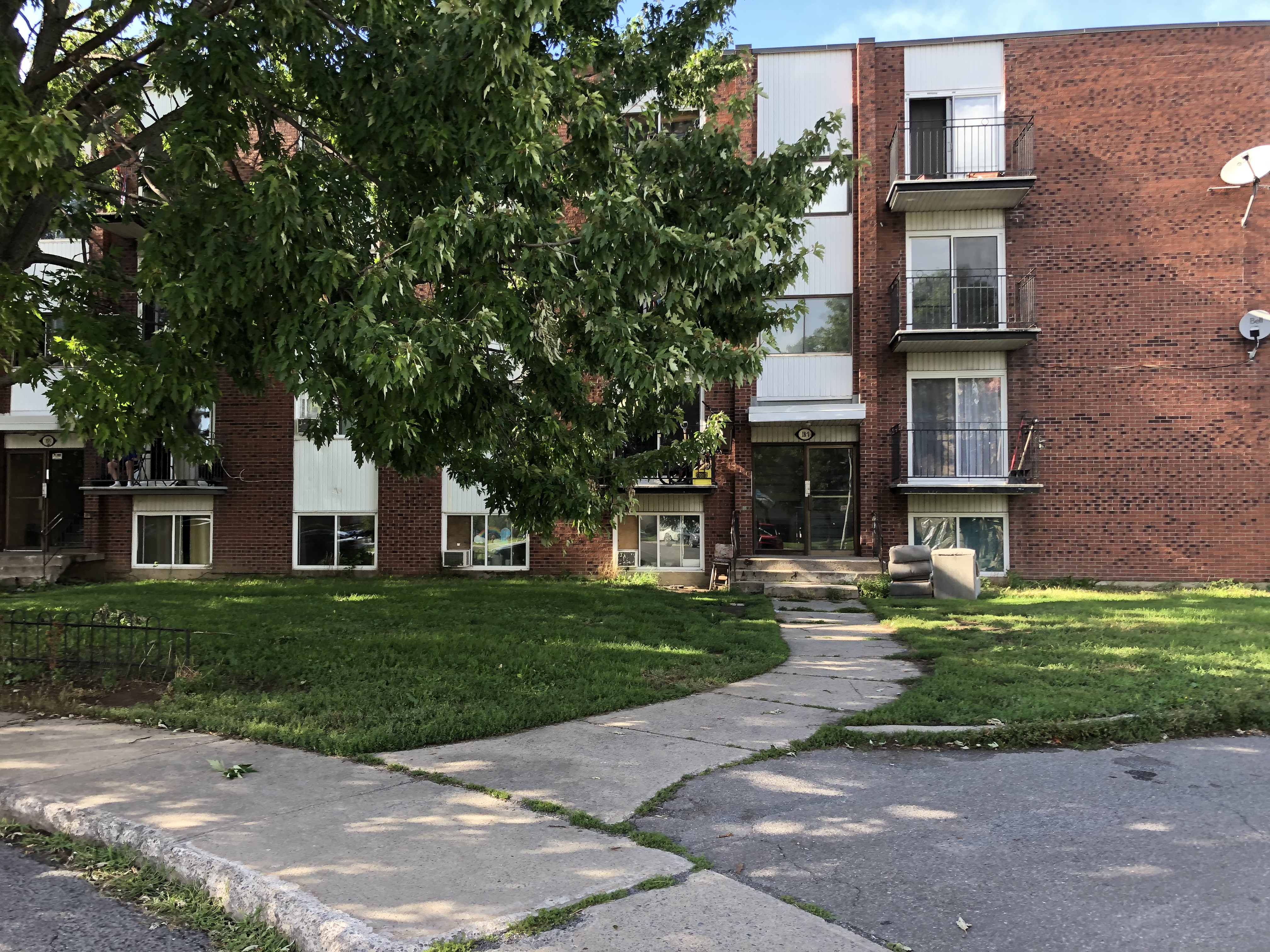 VIDÉOS – Des locataires à bout de vivre dans un immeuble infesté de rats