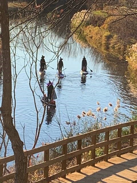 VIDÉO – Des sorcières en planche à pagaie sur la rivière de la Tortue