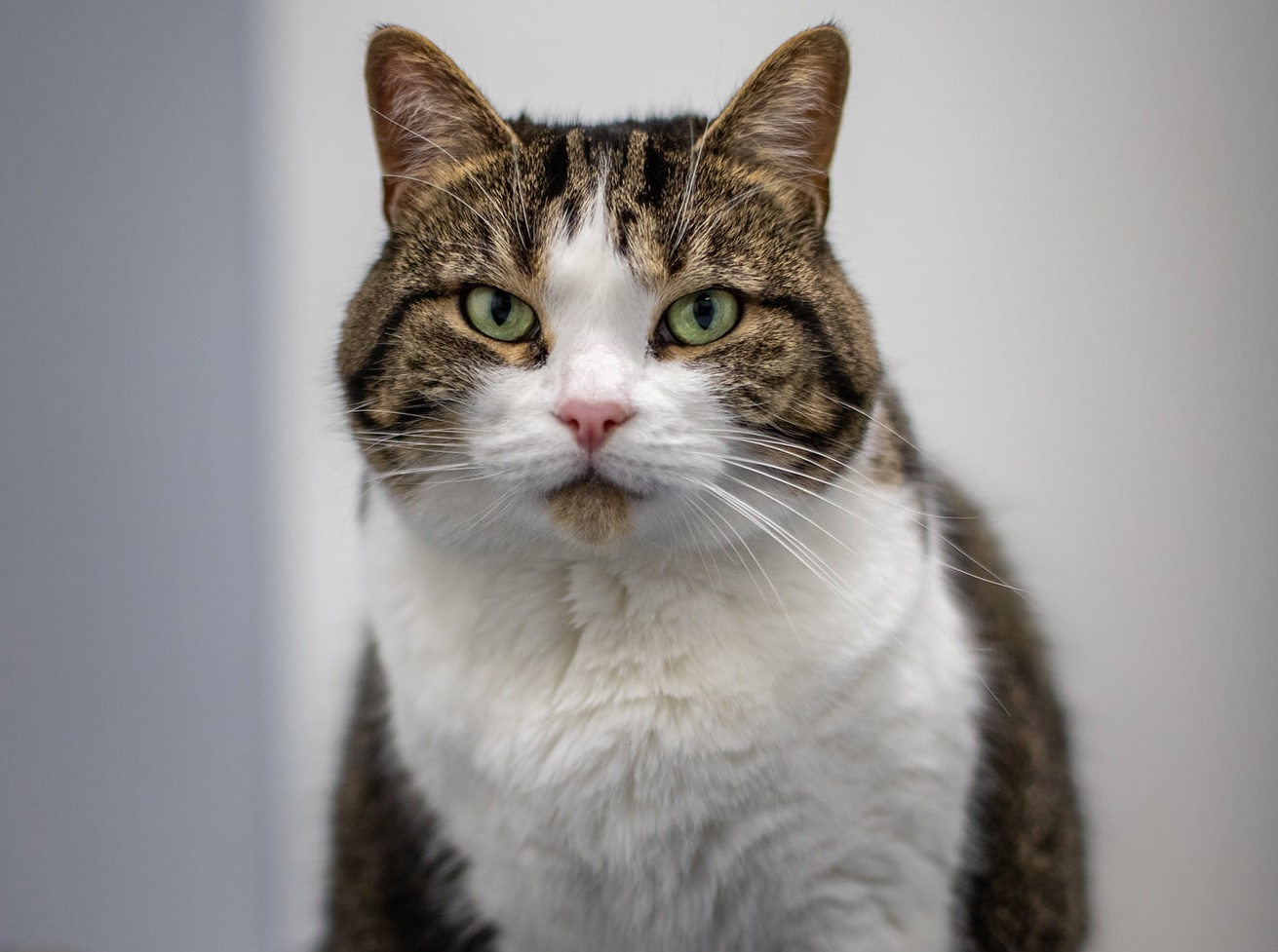 Célie, la vedette de la semaine