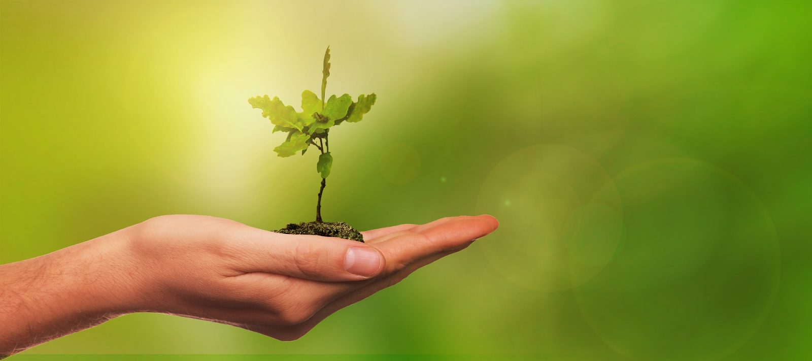 Candiac adopte la Déclaration universelle d’urgence climatique