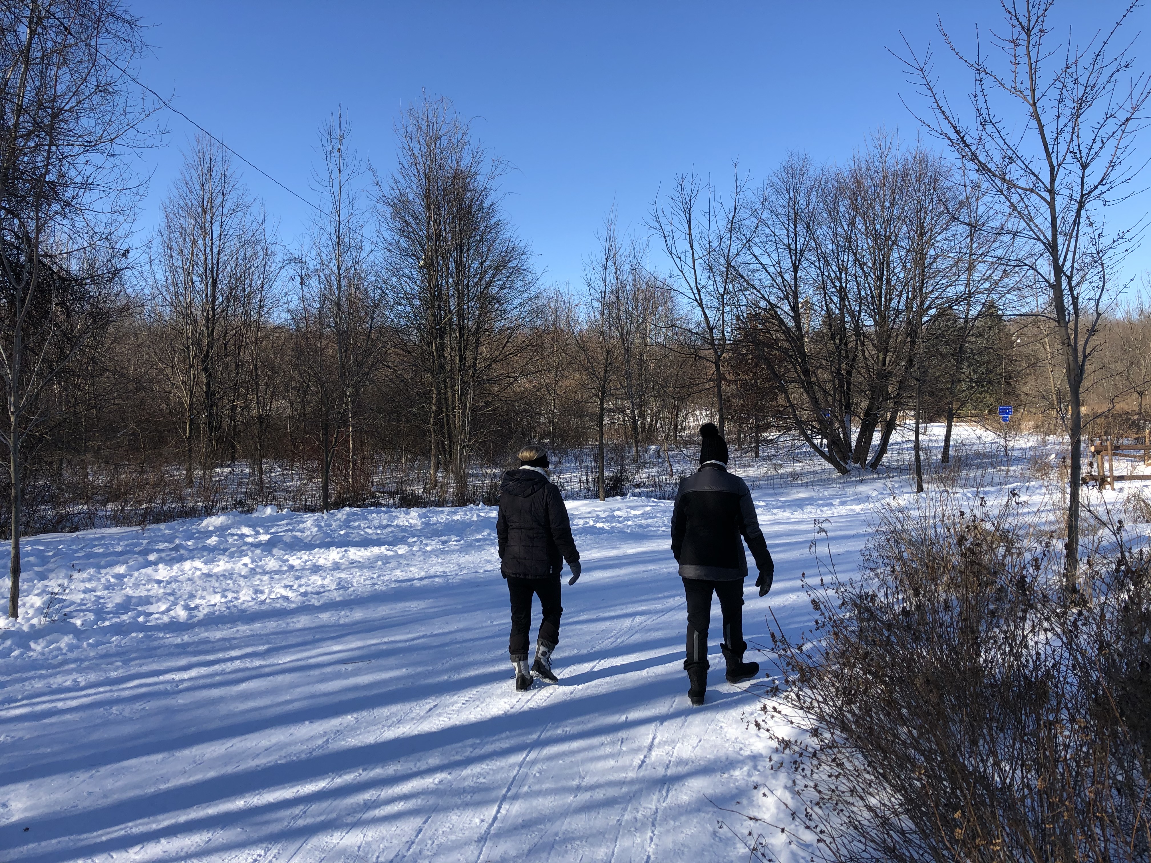 Achalandage record à l&rsquo;île Saint-Bernard et au Centre Fernand-Seguin