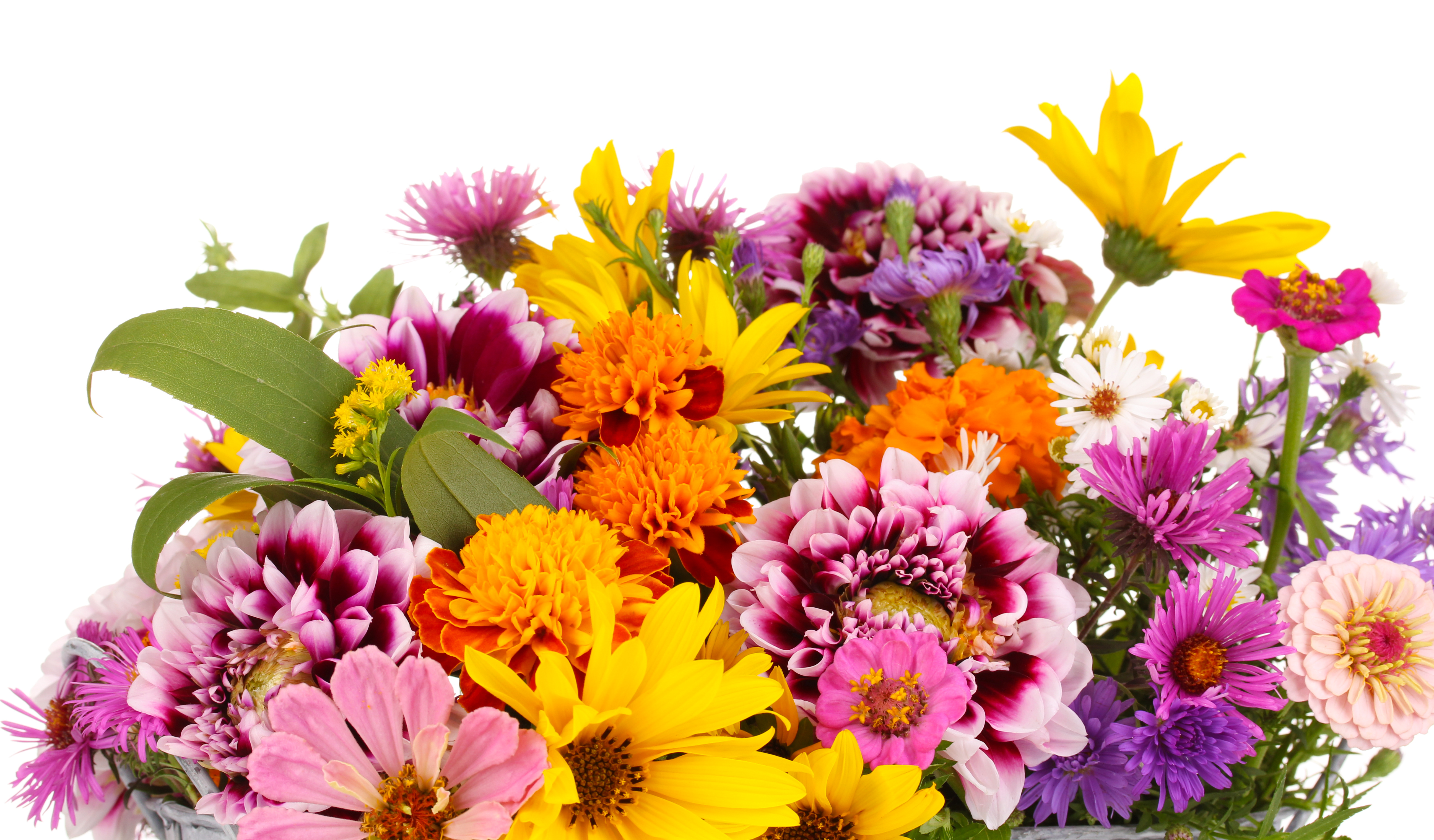 Billet d&rsquo;humeur : Une fausse bonne idée