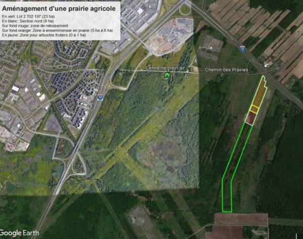 Une prairie propice aux oiseaux champêtres à Brossard