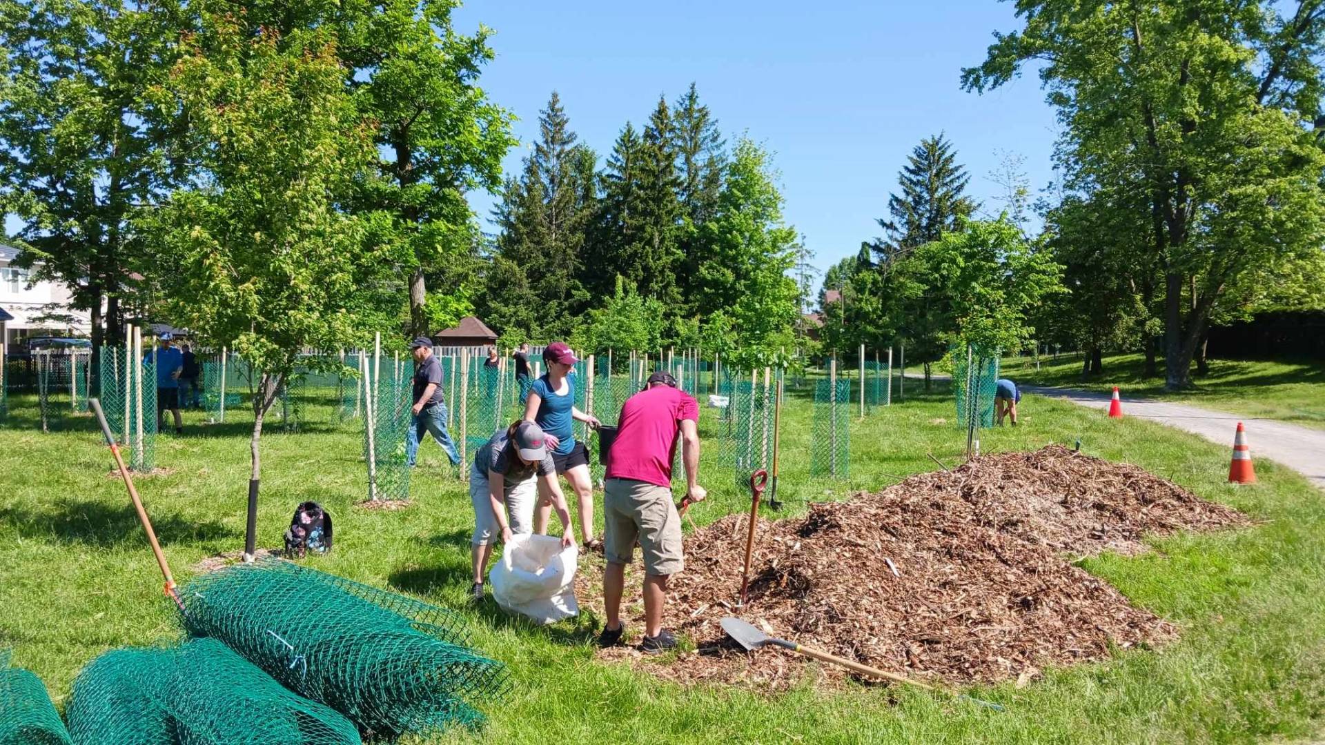 Verdissons Longueuil : 1000 arbres plantés en un an