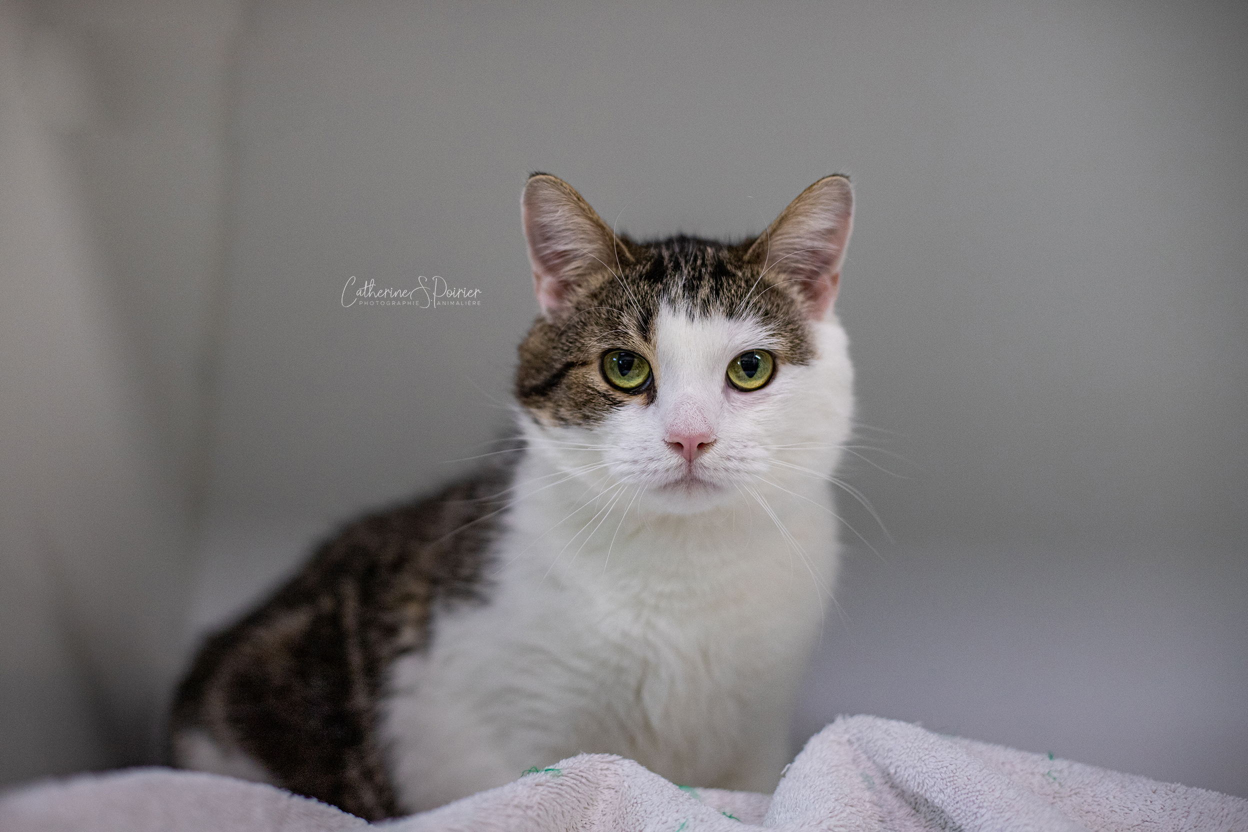 Weezy, la vedette de la semaine