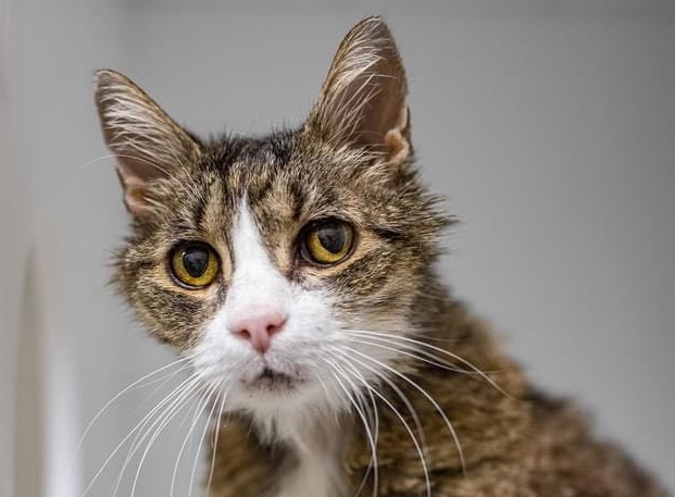 Arlène, la vedette de la semaine