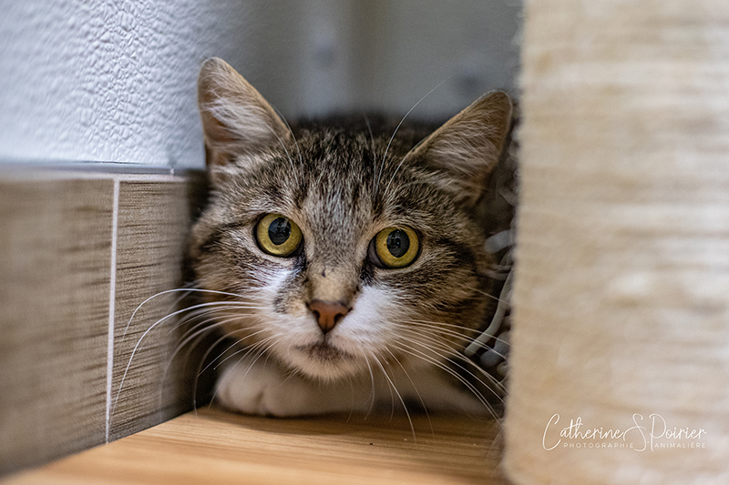 Lena, la vedette de la semaine