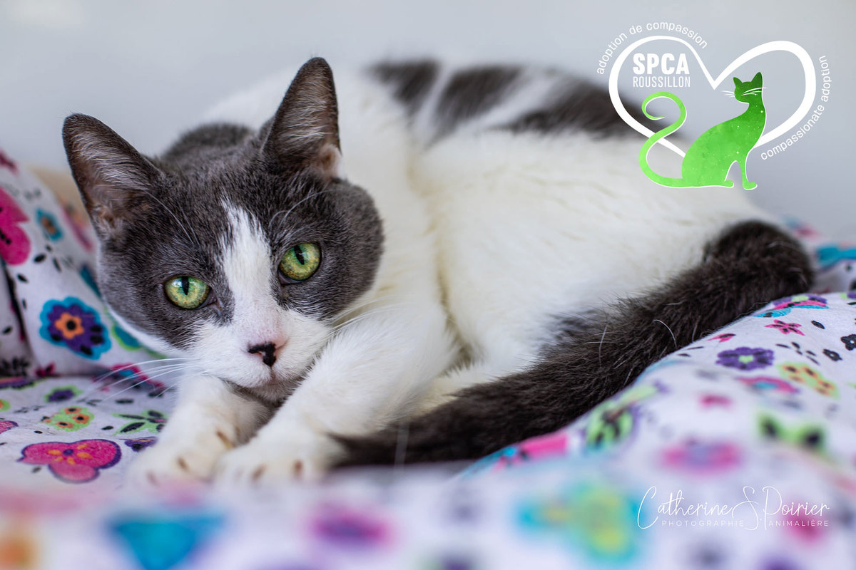 Billie, la vedette de la semaine