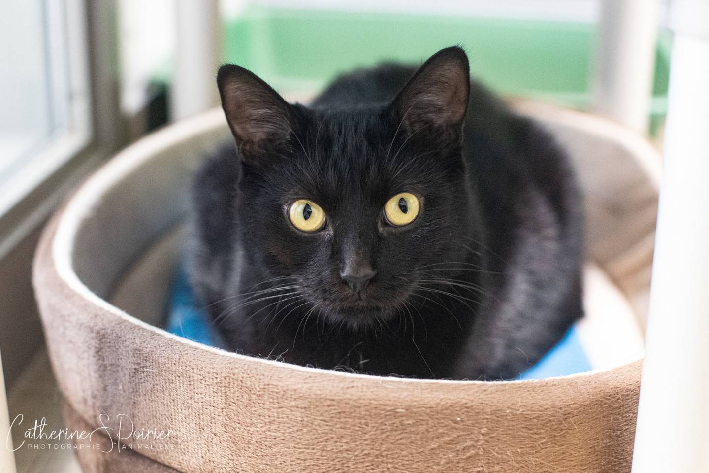 Louna, la vedette de la semaine