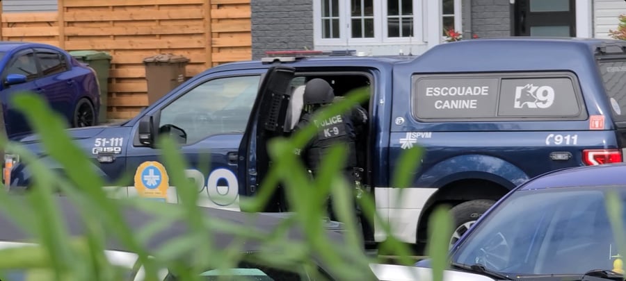 Démantèlement d&rsquo;un réseau de cannabis à Sainte-Catherine