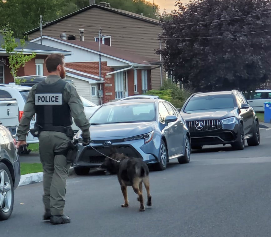 Opération contre le trafic de stupéfiants : cinq personnes arrêtées