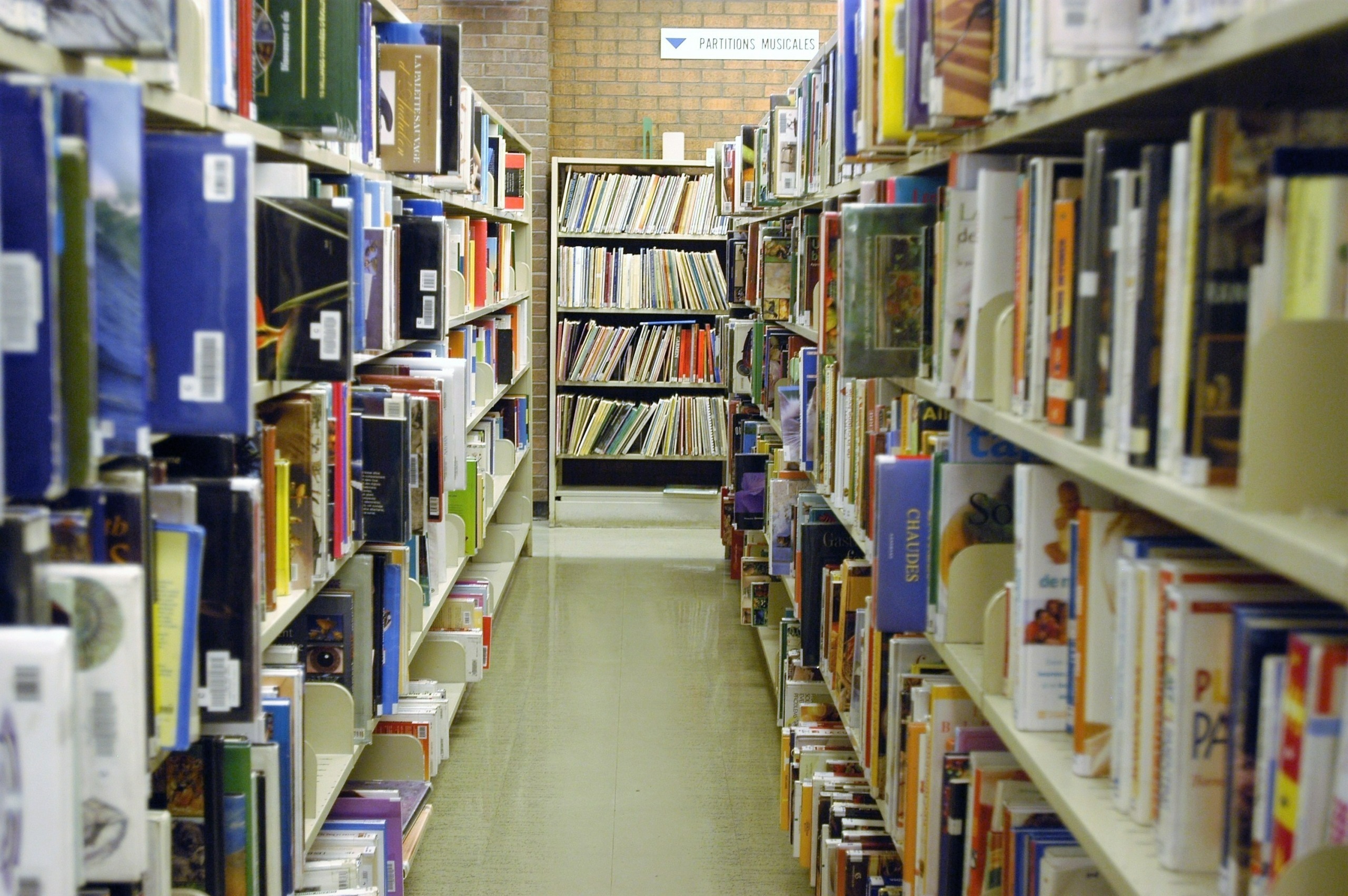 Culture : Longueuil s’inquiète de la censure de livres