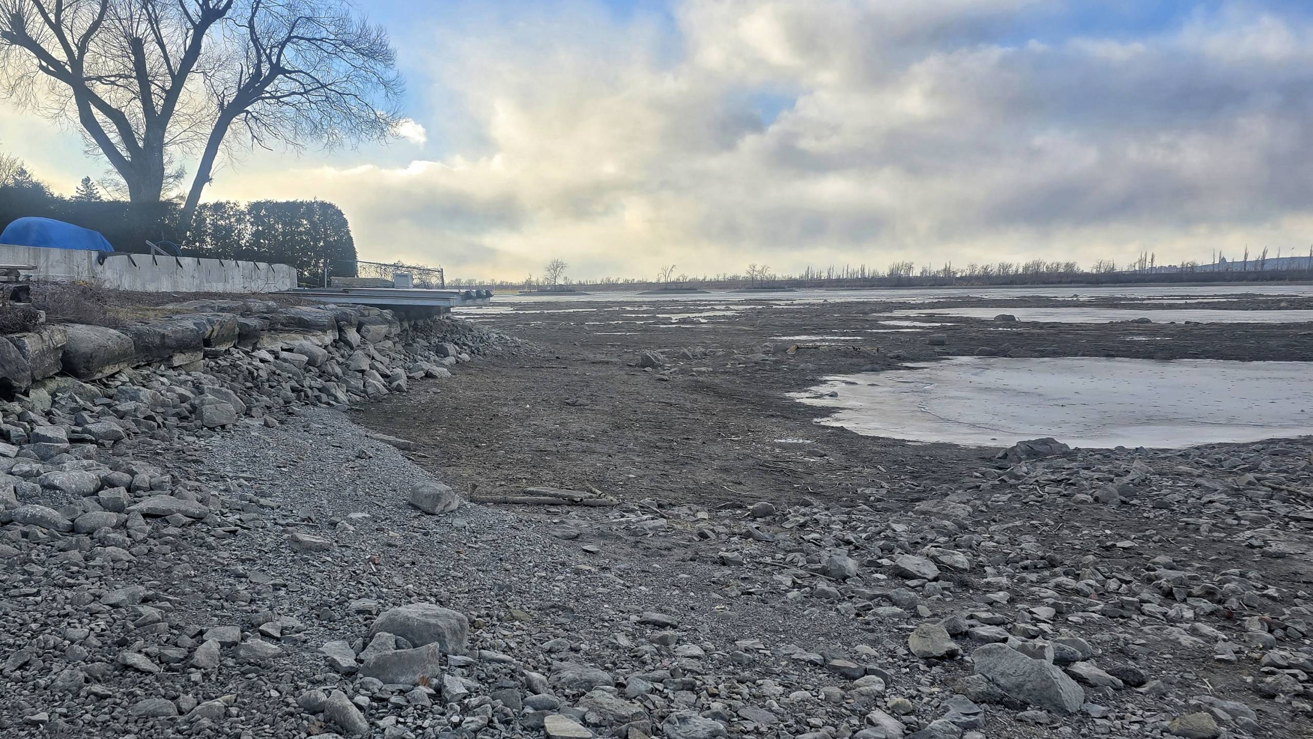 Bassin de La Prairie : importante mortalité de la faune