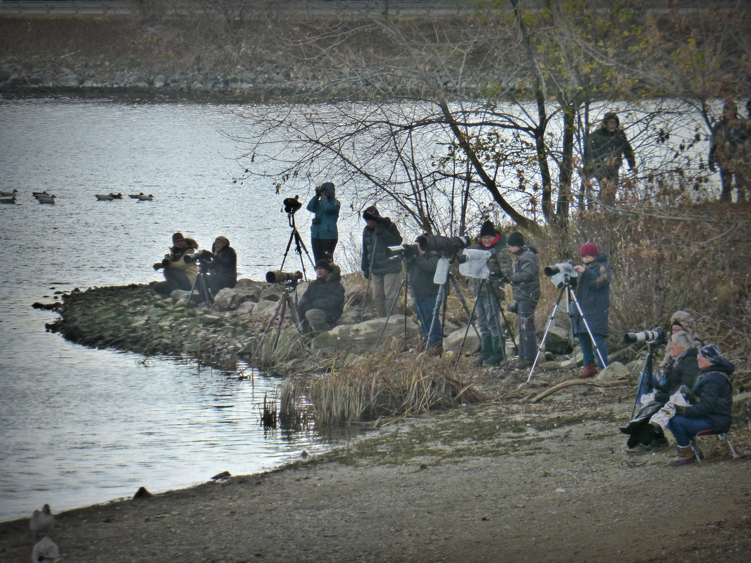Politique de reconnaissance et de soutien des organismes : Longueuil ouverte à l’idée de trouver une solution
