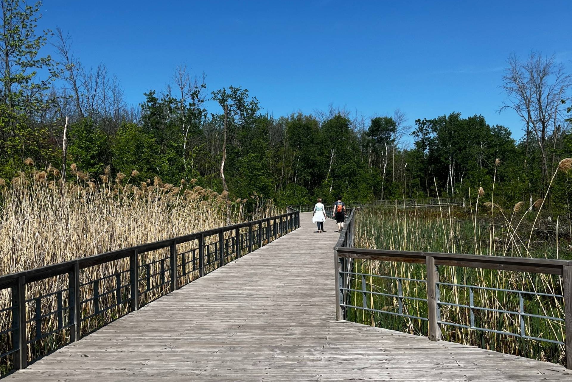 Santé : l’exposition à la nature comme prescription