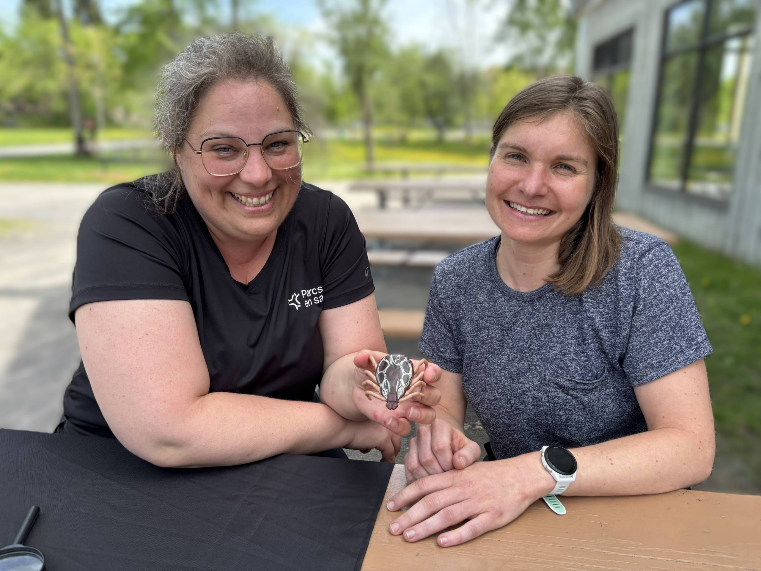 Projet de recherche : on traque la tique au parc Michel-Chartrand !