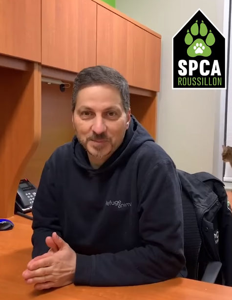 Ses cheveux teints en vert si la SPCA Roussillon récolte 5 000 $