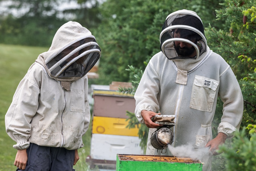 VIDÉOS – Un apiculteur de Saint-Constant perd près de la moitié de ses abeilles