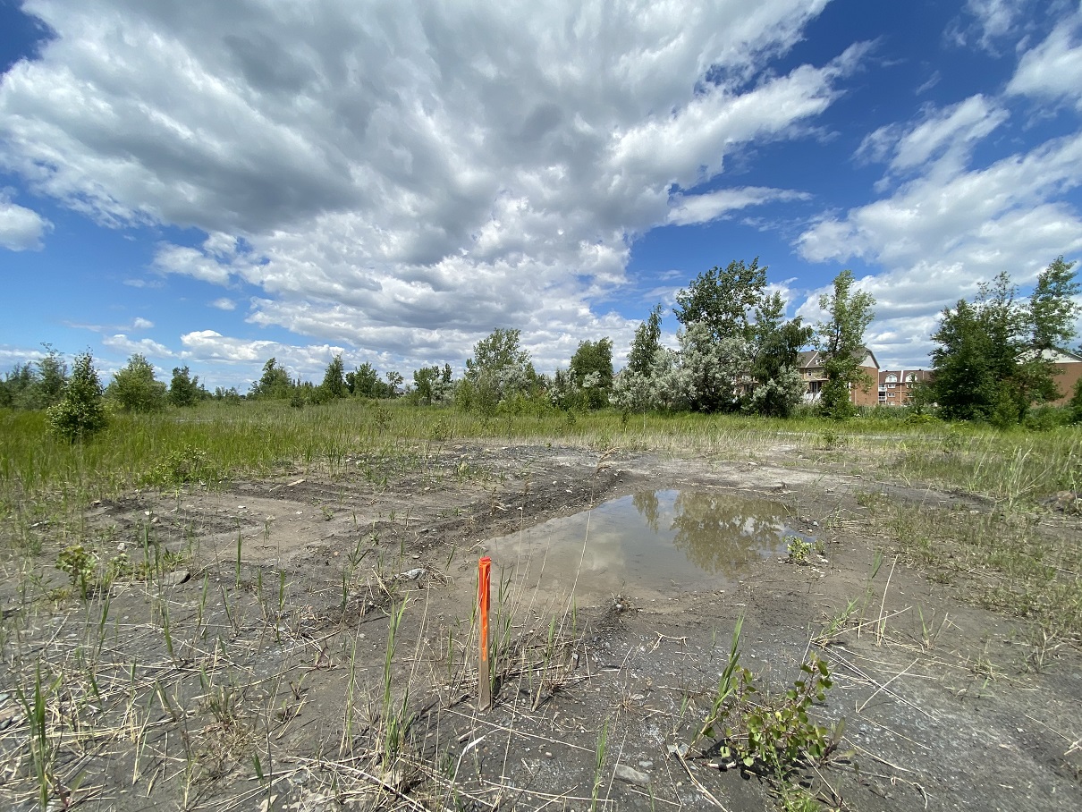 Des travaux sur les berges de la rivière Saint-Jacques inquiètent