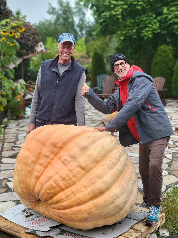 Une citrouille géante au Marché des jardiniers