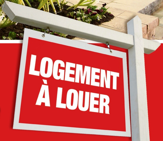 Cinq conseils pour trouver son prochain appartement