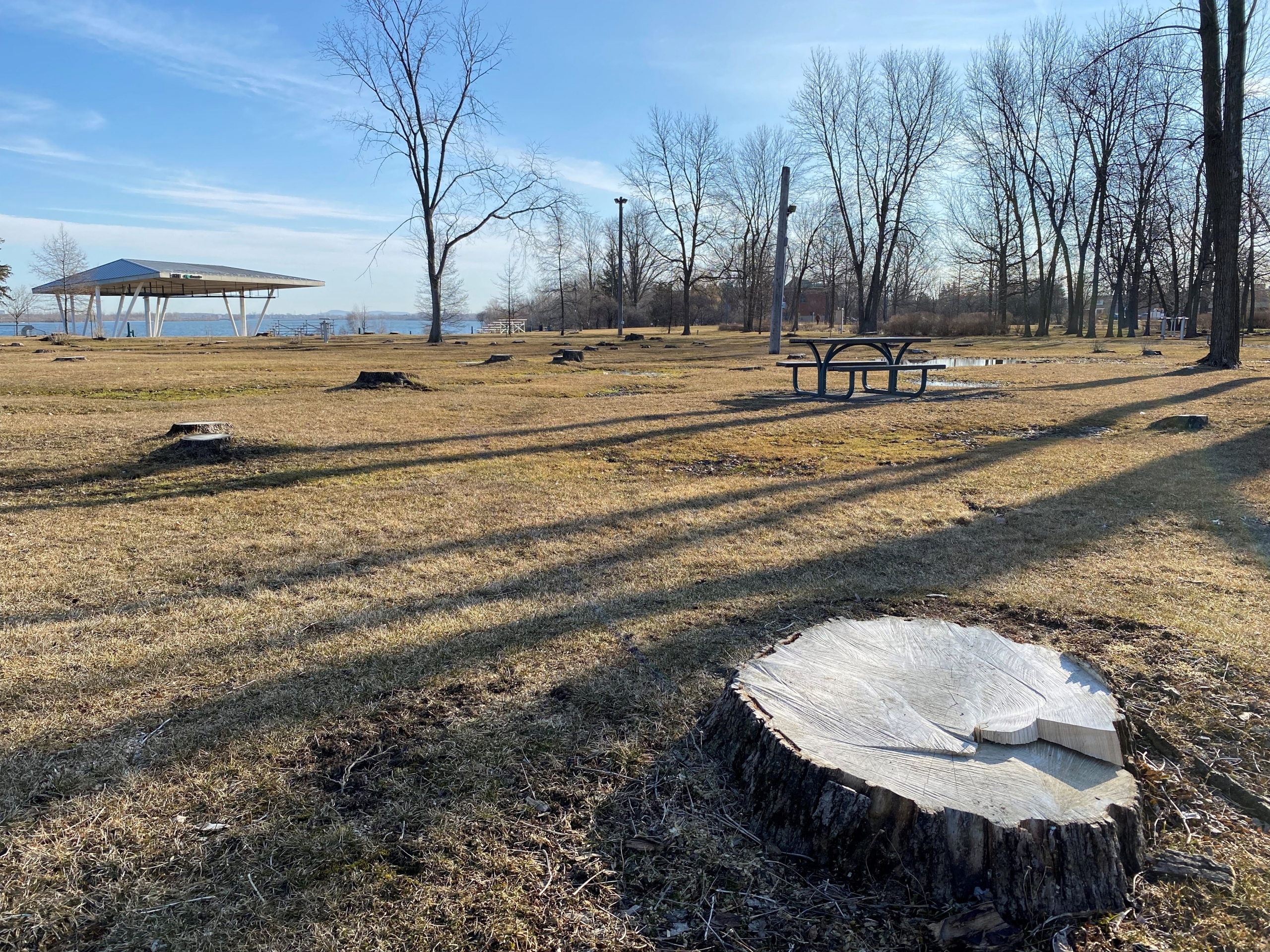 Réaménagement du parc André-J.-Côté : «un projet d’envergure», dit Candiac