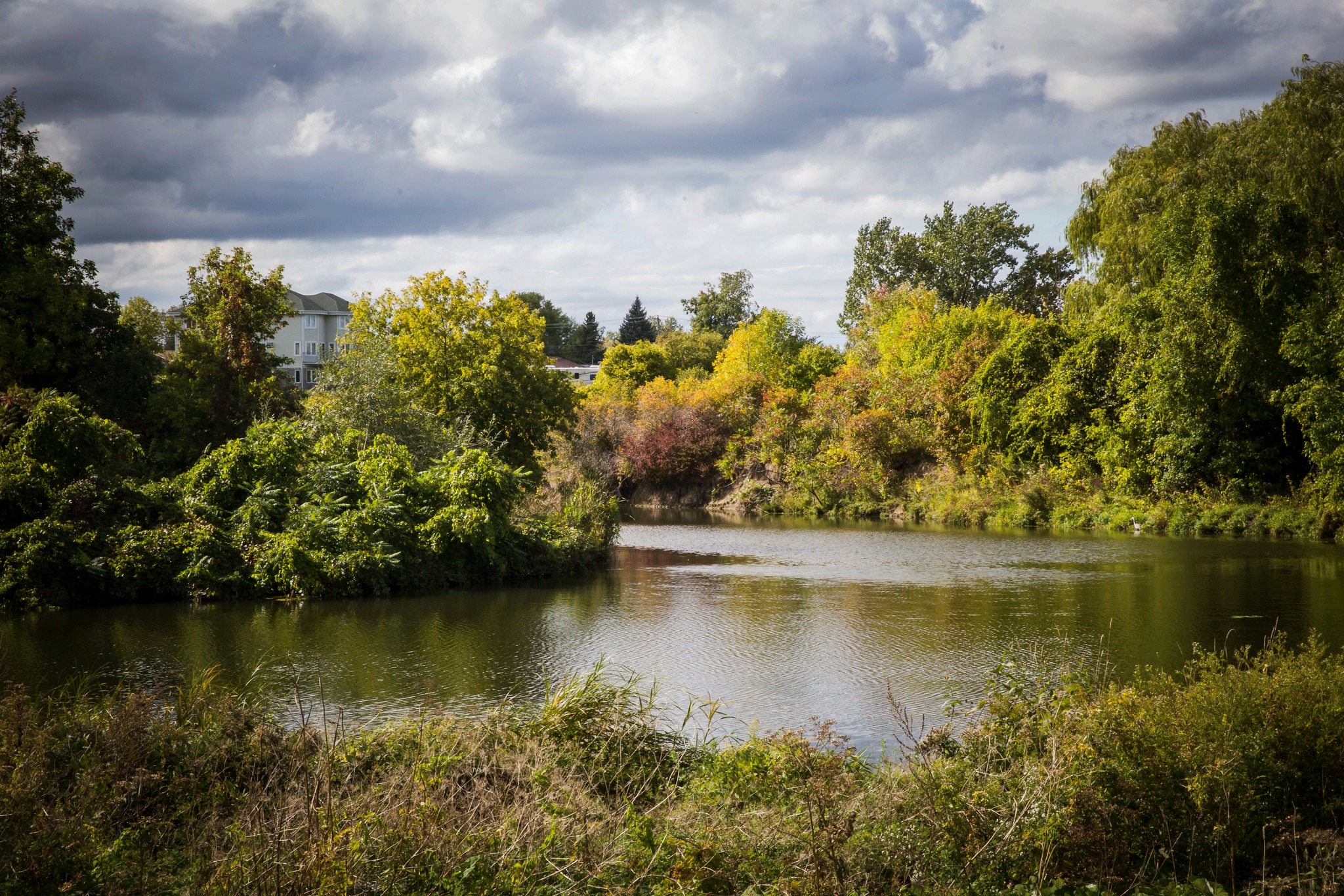 Cinq terrains reconnus comme milieux naturels à Candiac