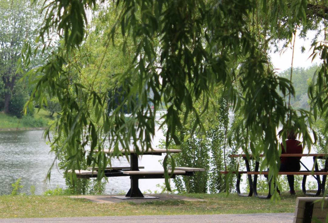 Opinion : Les Olympiques du climat